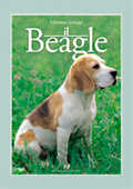 Il Beagle